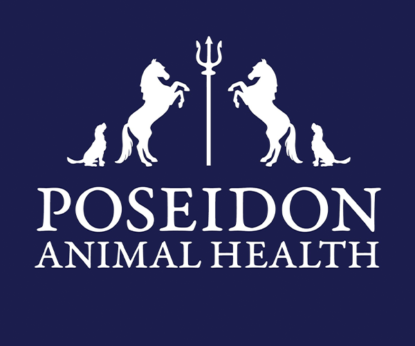 600x500_Poseidon